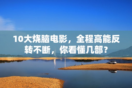 10大烧脑电影，全程高能反转不断，你看懂几部？