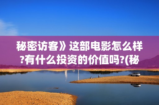 秘密访客》这部电影怎么样?有什么投资的价值吗?(秘密访客演的什么玩意)