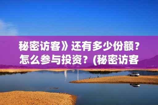 秘密访客》还有多少份额？怎么参与投资？(秘密访客什么剧情)