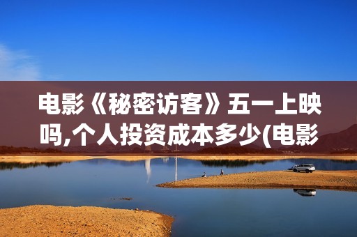 电影《秘密访客》五一上映吗,个人投资成本多少(电影《秘密访客》)
