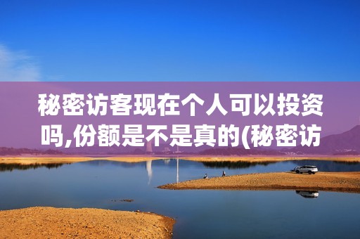 秘密访客现在个人可以投资吗,份额是不是真的(秘密访客没懂)