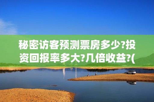 秘密访客预测票房多少?投资回报率多大?几倍收益?(秘密访客有获奖吗)