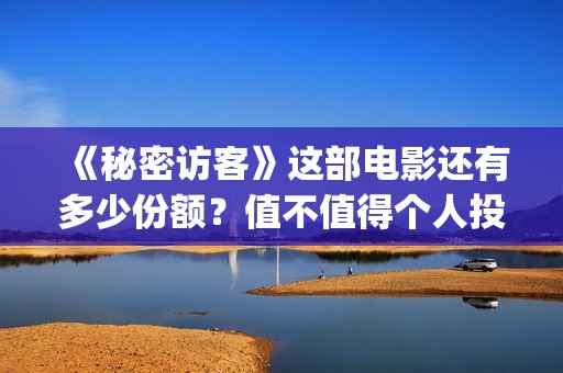 《秘密访客》这部电影还有多少份额？值不值得个人投资？(《秘密访客》有哪些细思极恐的细节?)