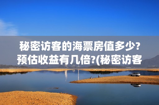 秘密访客的海票房值多少?预估收益有几倍?(秘密访客买票)