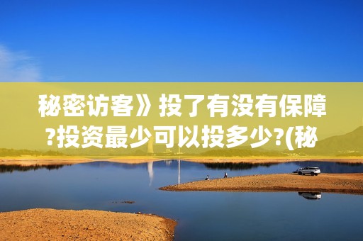 秘密访客》投了有没有保障?投资最少可以投多少?(秘密访客细思极恐)