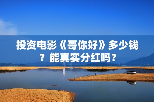 投资电影《哥你好》多少钱？能真实分红吗？