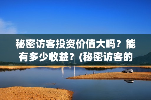 秘密访客投资价值大吗？能有多少收益？(秘密访客的票价)