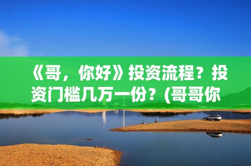 《哥，你好》投资流程？投资门槛几万一份？(哥哥你好语音)