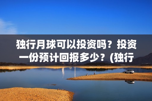 独行月球可以投资吗？投资一份预计回报多少？(独行月球结局什么意思)