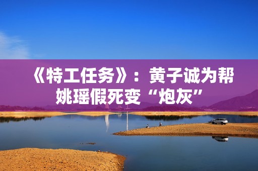 《特工任务》：黄子诚为帮姚瑶假死变“炮灰”