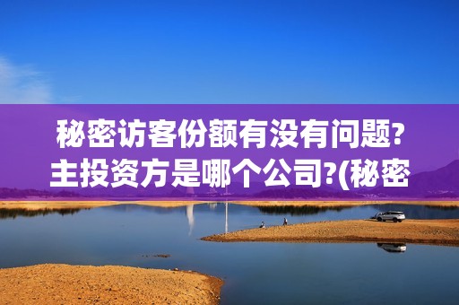 秘密访客份额有没有问题?主投资方是哪个公司?(秘密访客成本多少)