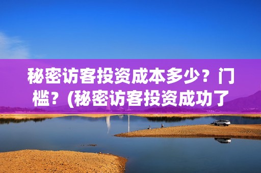 秘密访客投资成本多少？门槛？(秘密访客投资成功了吗)