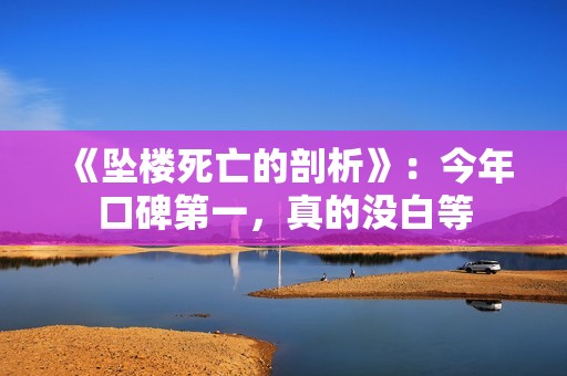 《坠楼死亡的剖析》：今年口碑第一，真的没白等