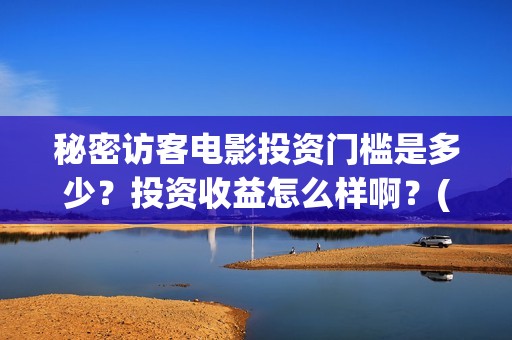 秘密访客电影投资门槛是多少？投资收益怎么样啊？(秘密访客电影投资多少钱)