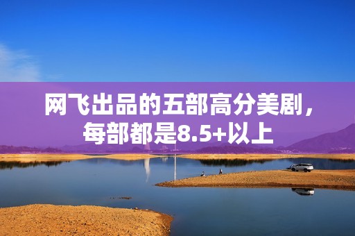 网飞出品的五部高分美剧，每部都是8.5+以上
