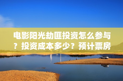 电影阳光劫匪投资怎么参与？投资成本多少？预计票房(阳光劫匪hd)