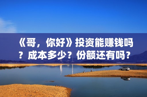 《哥，你好》投资能赚钱吗？成本多少？份额还有吗？(歌曲哥哥你好)