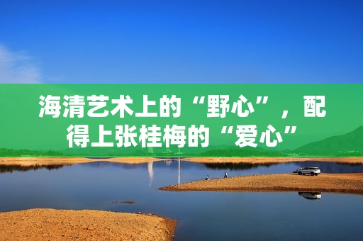 海清艺术上的“野心”，配得上张桂梅的“爱心”