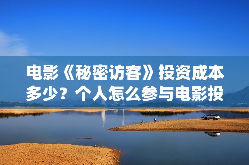 电影《秘密访客》投资成本多少？个人怎么参与电影投资？ 有哪些投资优势？(电影《秘密访客》在线观看)