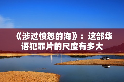 《涉过愤怒的海》：这部华语犯罪片的尺度有多大