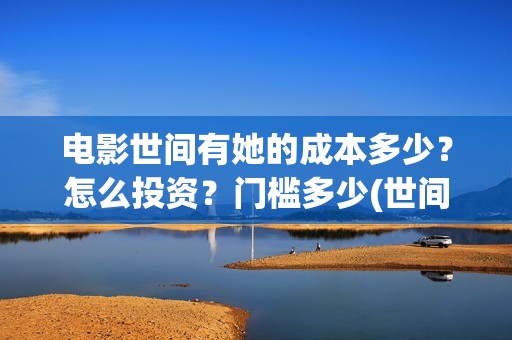 电影世间有她的成本多少？怎么投资？门槛多少(世间有她电影感人片段)