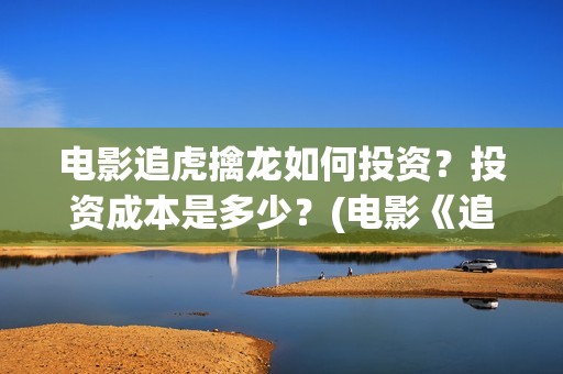 电影追虎擒龙如何投资？投资成本是多少？(电影《追虎擒龙》)