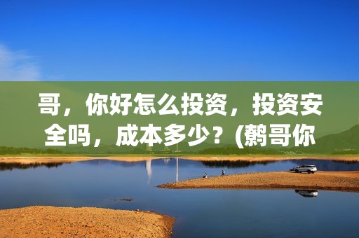 哥，你好怎么投资，投资安全吗，成本多少？(鹩哥你好mp3)