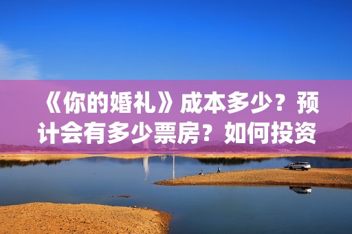 《你的婚礼》成本多少？预计会有多少票房？如何投资？(你的婚礼全篇)