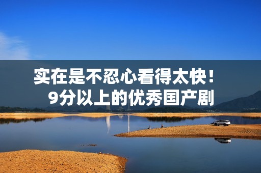 实在是不忍心看得太快！ 9分以上的优秀国产剧