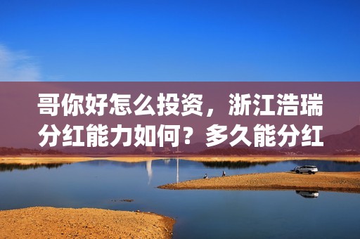 哥你好怎么投资，浙江浩瑞分红能力如何？多久能分红？(你好哥哥)