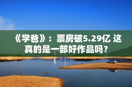 《学爸》：票房破5.29亿 这真的是一部好作品吗？