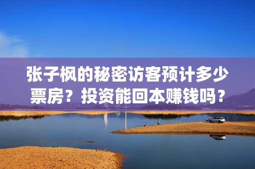 张子枫的秘密访客预计多少票房？投资能回本赚钱吗？(张子枫的真实)