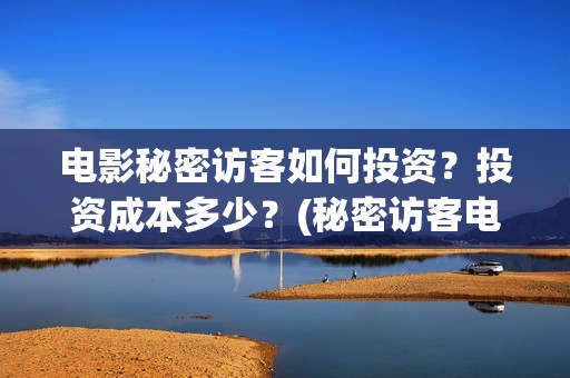 电影秘密访客如何投资？投资成本多少？(秘密访客电影啥意思)
