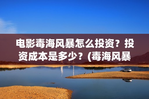 电影毒海风暴怎么投资？投资成本是多少？(毒海风暴上映时间)