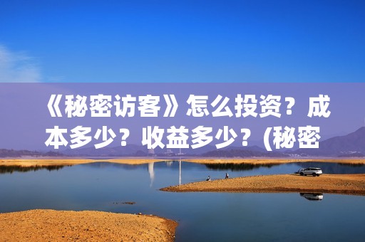 《秘密访客》怎么投资？成本多少？收益多少？(秘密访客详细解析)