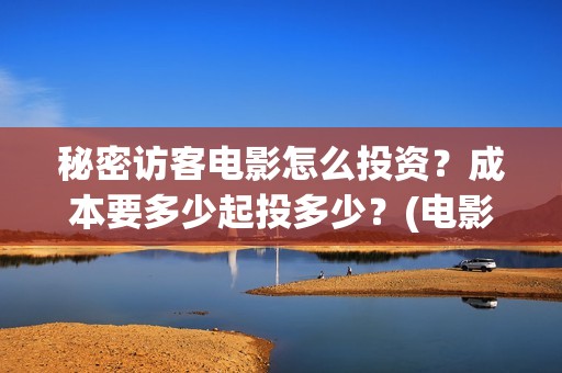 秘密访客电影怎么投资？成本要多少起投多少？(电影秘密访客视频)