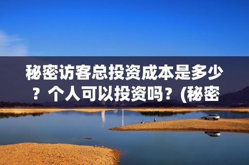 秘密访客总投资成本是多少？个人可以投资吗？(秘密访客总投资多少钱)