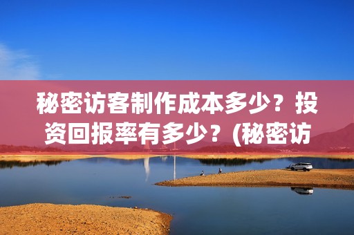 秘密访客制作成本多少？投资回报率有多少？(秘密访客怎么样)