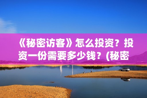 《秘密访客》怎么投资？投资一份需要多少钱？(秘密访客在讲啥)