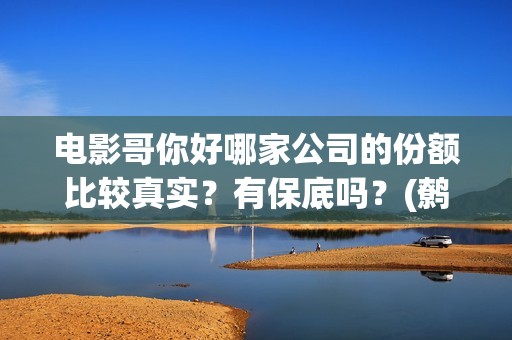 电影哥你好哪家公司的份额比较真实？有保底吗？(鹩哥你好)