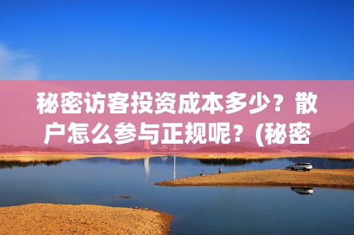 秘密访客投资成本多少？散户怎么参与正规呢？(秘密访客 投资方)