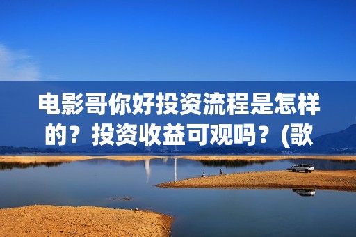 电影哥你好投资流程是怎样的？投资收益可观吗？(歌曲哥哥你好)