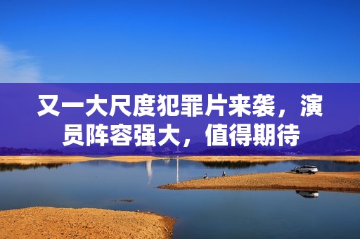 又一大尺度犯罪片来袭，演员阵容强大，值得期待