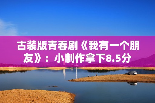 古装版青春剧《我有一个朋友》：小制作拿下8.5分