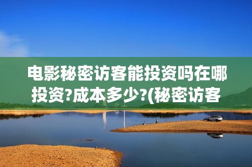 电影秘密访客能投资吗在哪投资?成本多少?(秘密访客 bd)