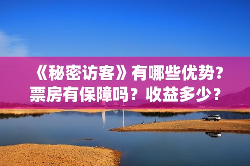 《秘密访客》有哪些优势？票房有保障吗？收益多少？(秘密访客演的到底是啥)