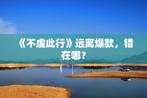 《不虚此行》远离爆款，错在哪？