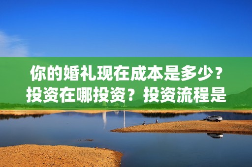 你的婚礼现在成本是多少？投资在哪投资？投资流程是什么？(你的婚礼全程)
