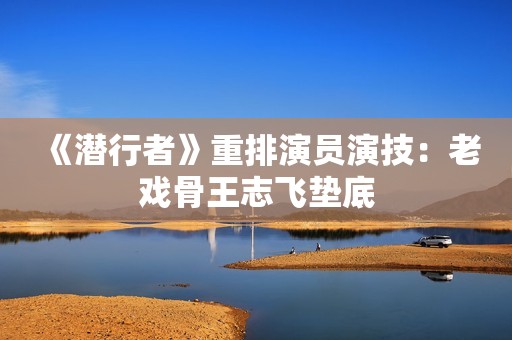 《潜行者》重排演员演技：老戏骨王志飞垫底