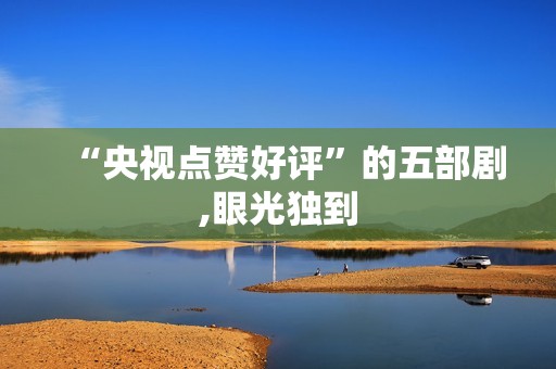 “央视点赞好评”的五部剧,眼光独到